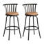 Tabouret de comptoir HomeRoots