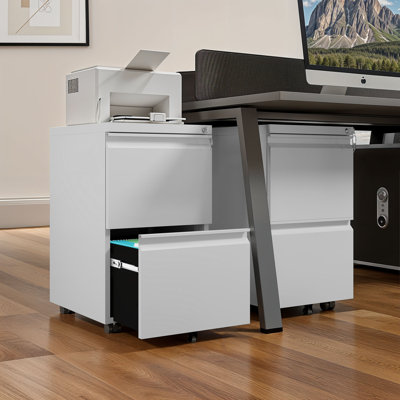39cm Wide 2 -Drawer Mobile Steel File Cabinet