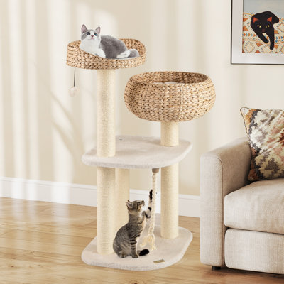 Cortny Cat Perch
