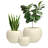 Dorlis Fiberstone Pot Planter-388860560-339756818