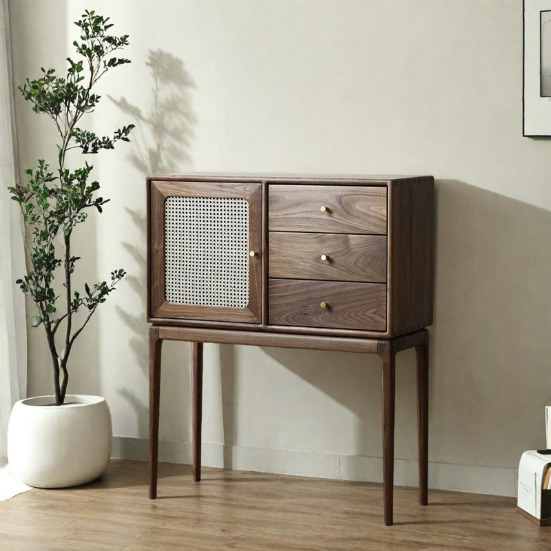 Armoire d'entrée moderne en bois massif minimaliste