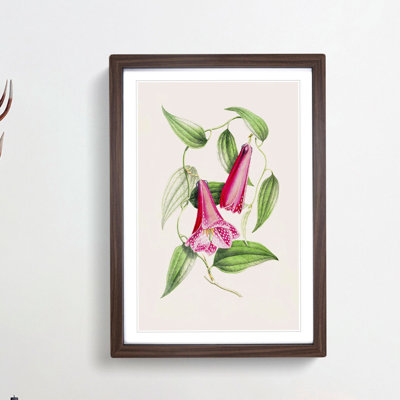 Illustration of Spotted Pink Flowers - Picture Frame Graphic Art Print