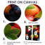 Fruit Plater Impression - Impressions sur toile traditionnelles vertes-754212216-754212218-754212222