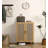 2 - Door Storage Cabinet