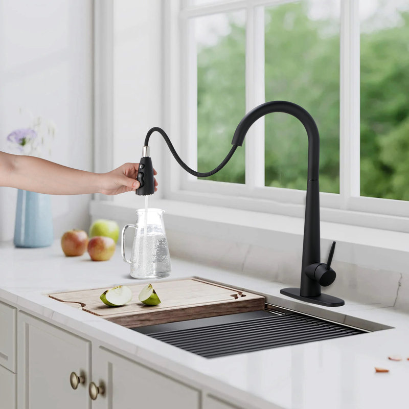 Interbath Pull Down Kitchen Faucet, Matte Black