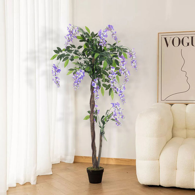 120cm Plant