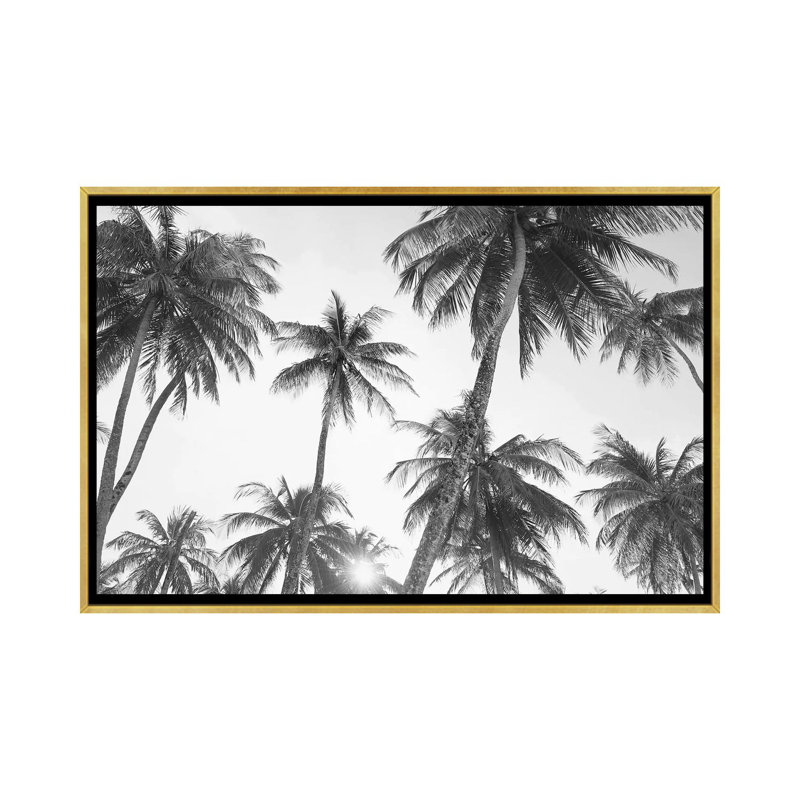 Tropical en noir et blanc par Sissi et Seb - reproduction de photo, Toile encadrée d'or, H 18 po x l 26 po x P 1,5 po