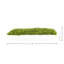 Moss 6" Artificial in Fiberstone Planter-1306162797-1306519054