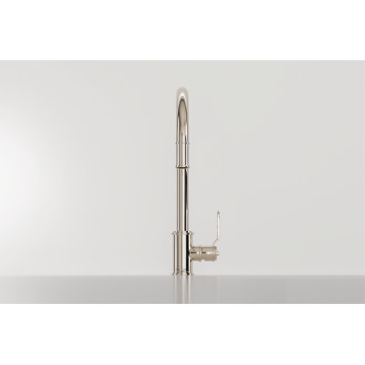 Armstrong Pull-Down Kitchen Faucet With C-Spout