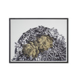 Succulent Garden A Print