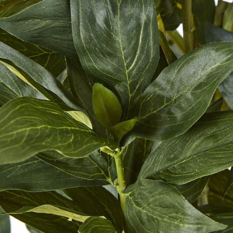 Annitta 71cm Plant in Pot