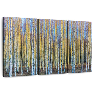 Harnek Shedding Birch Trees