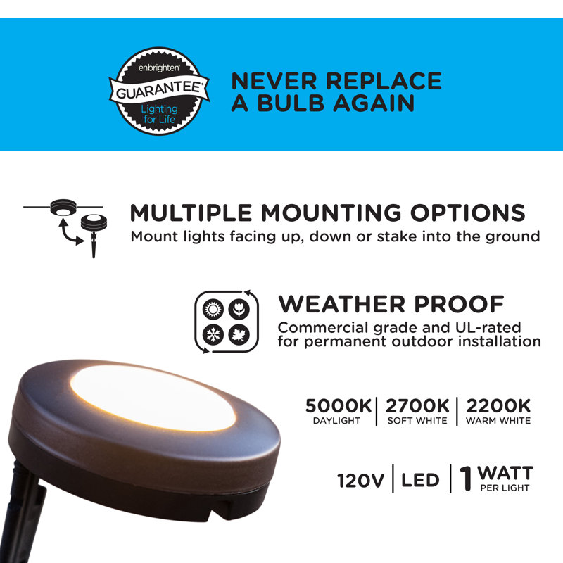 Seasons Black Plastic LED Pathway Lights with Remote