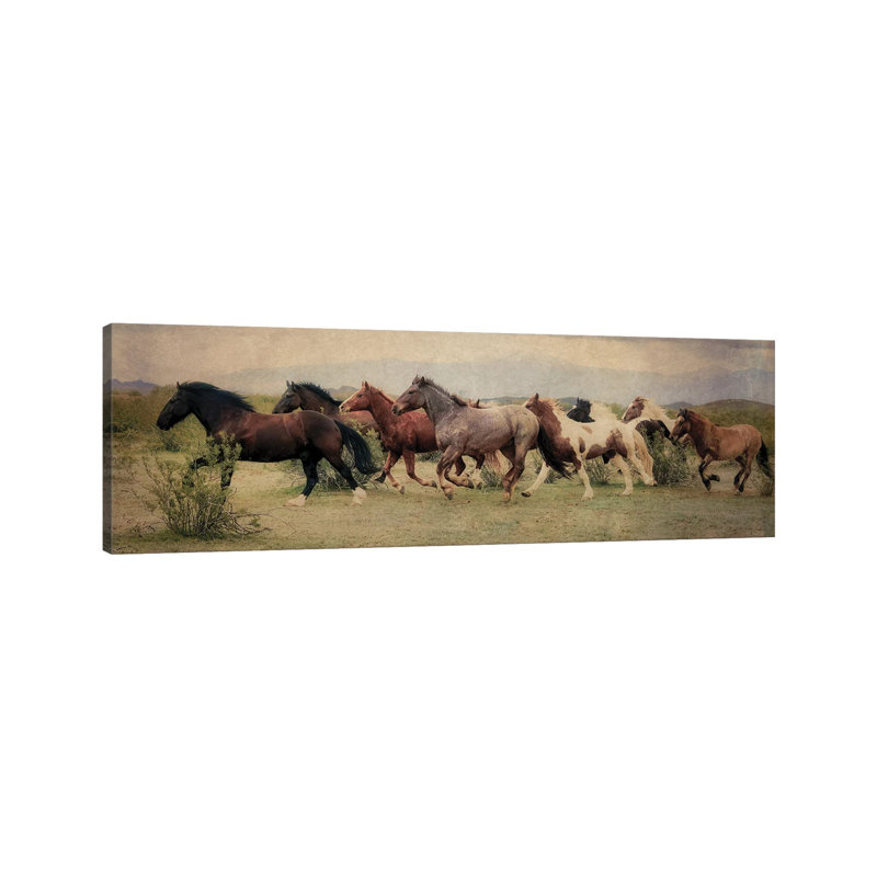 A Run Through the Desert 1 Piece Wrapped Canvas Panoramic Wall Art, 30.48 cm H x 91.44 cm W x 3.175 cm D