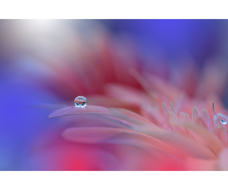 Wrapped Canvas Print, 60.96 cm H x 91.44 cm W