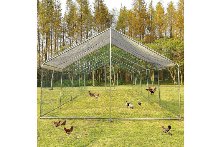 mesh wire chicken run