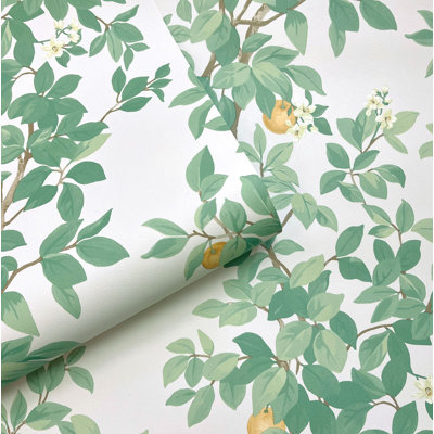 Cream Green Blooming Orange Tree Nonwoven, Non-pasted Textured Wallpaper 57sqft.