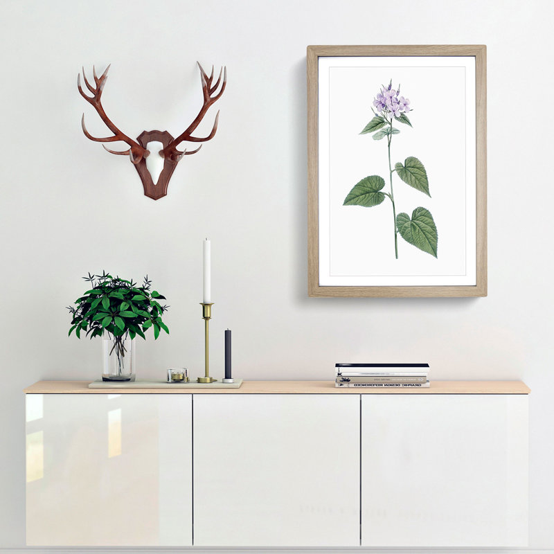 Lilac Morning-glory Flowers by Pierre-Joseph Redoute - Picture Frame Painting Print, 65cm H x 48cm W x 2cm D, Oak Framed