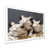 White Single Picture Framed