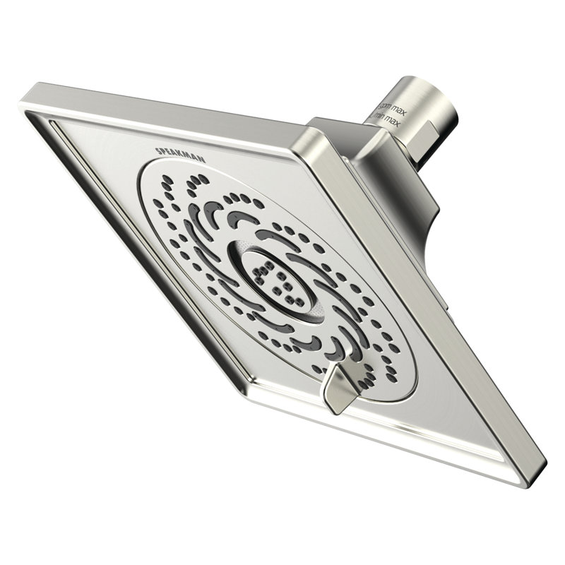 Rainier Exhilaration Multi Function Adjustable Shower Head, Brushed Nickel