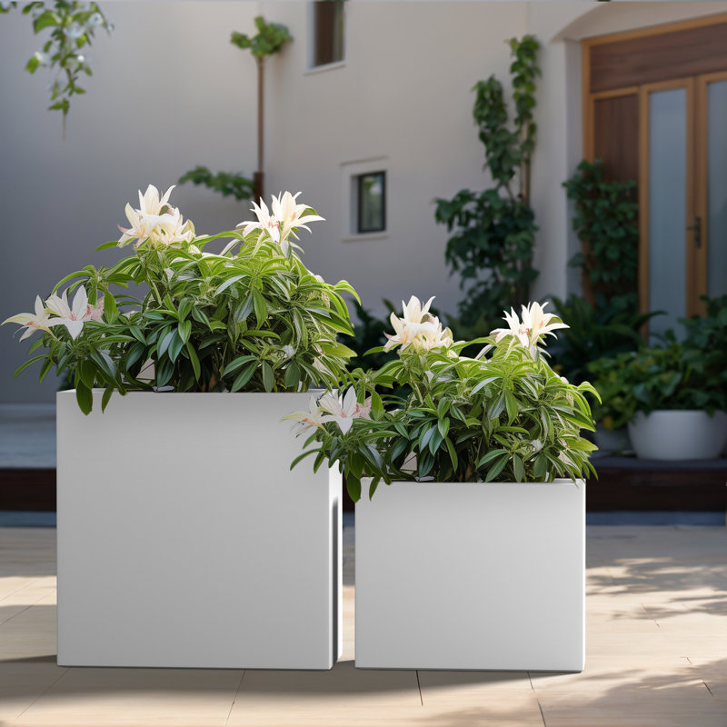 Ensemble de 2 boîtes à fleurs en ciment Monoceros, Blanc frais