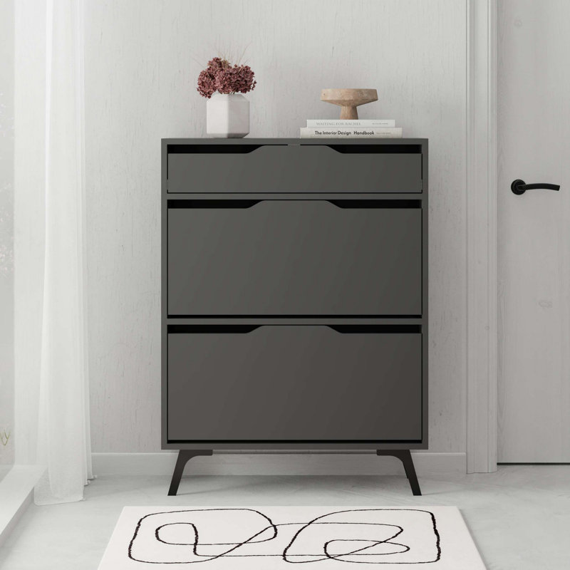 Baneen 8 Pair Shoe Storage Cabinet, Anthracite