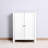 White Bathroom Floor Cabinet With Double Door And Adjustable Shelf - Adds Elegance Function To Your In Doors & , Stores Various Items