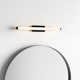 Erby Single Light Aluminum Dimmable LED Flush Mounted Sconce