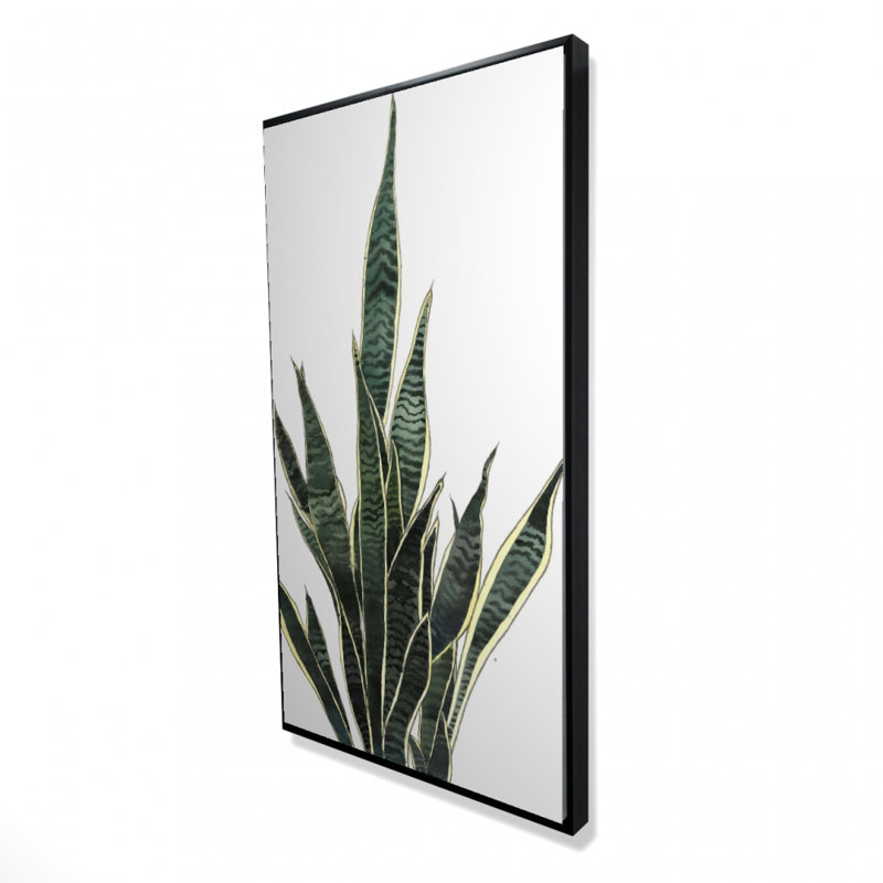 Snake plant - 24"x48" Framed canvas