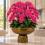 Orchid Arrangement in Hamilton Footed Bowl-1193679963