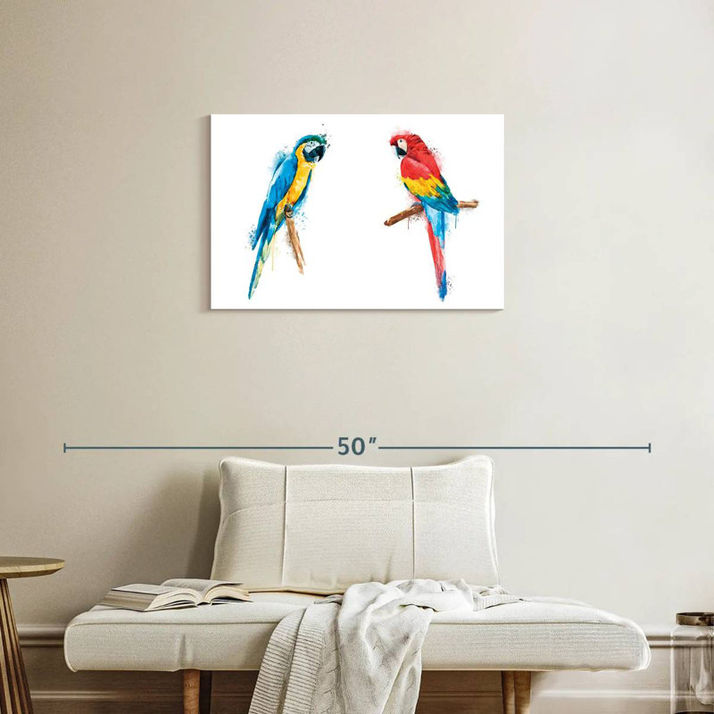 Macaw Duo Colour Splash
