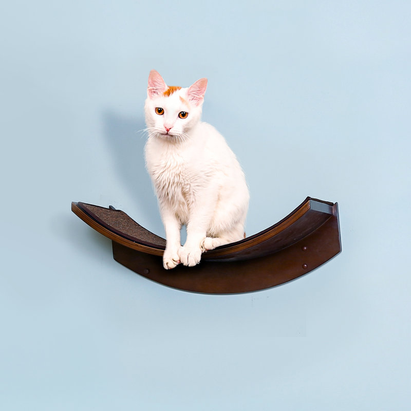 Lotus Leaf Cat Perch, Mahogany