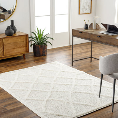Coito Oriental Area Rug