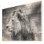 Gris sauvage, lion d'Afrique - impression-1549622117-1549622123