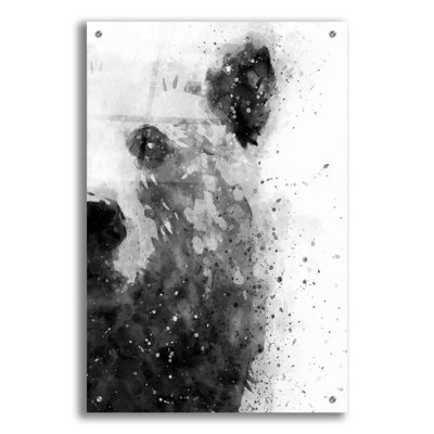  'Bear At Attention' by Brandon Wong Acrylic Glass Wall Art, 24" x 36"