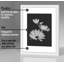 Cadres muraux avec passe-partout Gallery-730812265-730812274