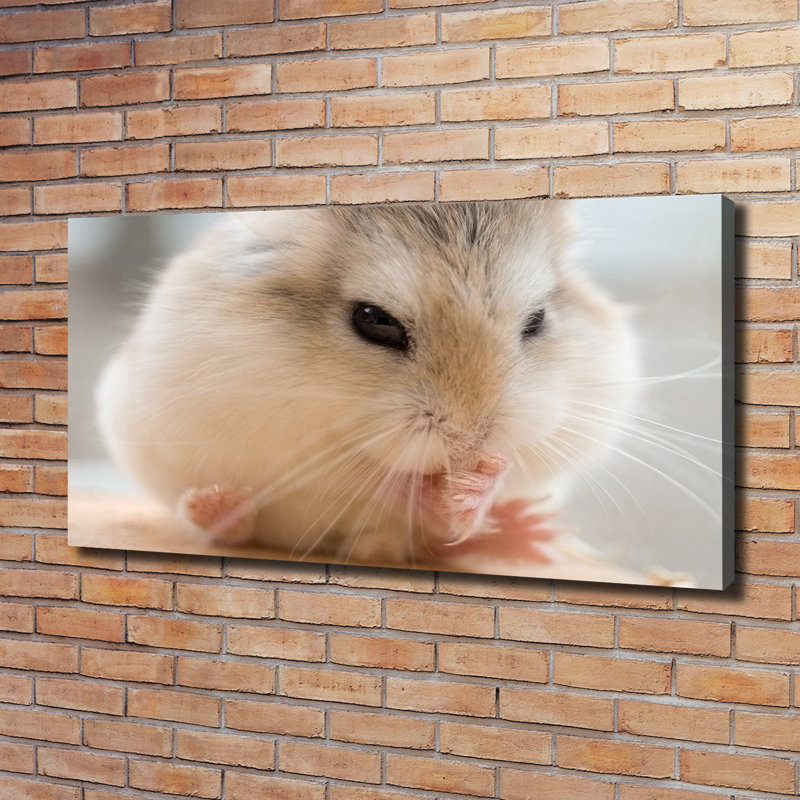 Hamster - Wrapped Canvas Print