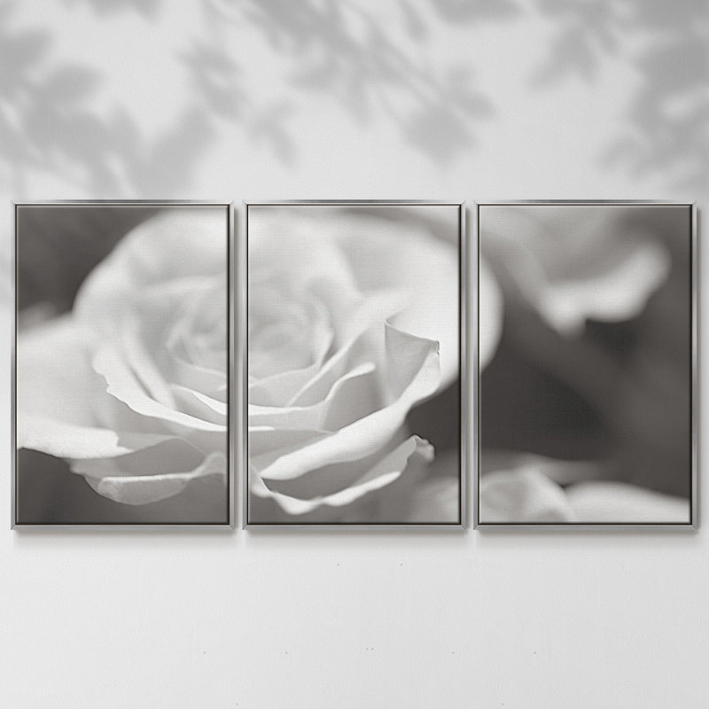 Roseudes IV - Toile encadrée multi-pièces, H 24 po x l 48 po x P 2 po, Argent