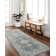 Caylynn Machine Washable Rug