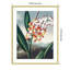 Temple of Flora VII par Dr. robert j. Impression murale Thornton-109724796