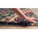 Dimmitt Oriental Indoor Rug
