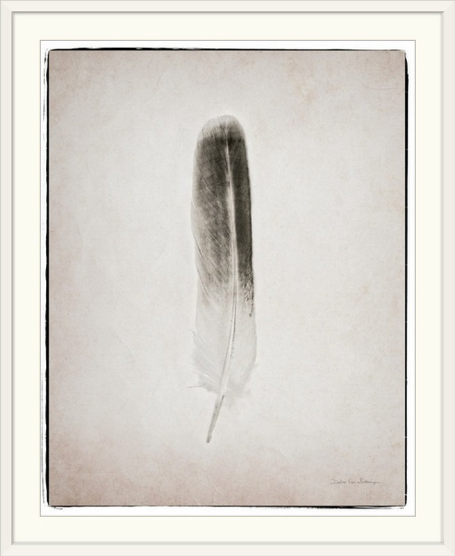 Black And White Feather " Feather II Black And White " by Debra Van Swearingen Great Big Canvas 