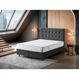 8” Vanguard Firm Mattress – Made in NJ – Durable Support & Comfort – CertiPUR-US Foam & Reinforced Coils – Fiberglass-Free – Bed in a Box