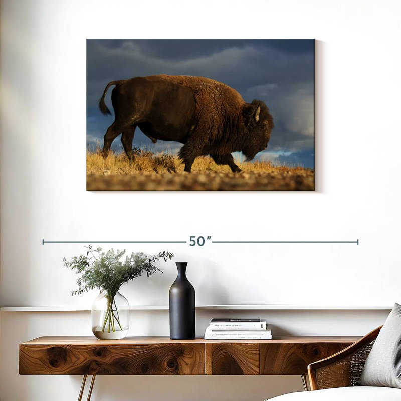 Roux marchant le bison d'Amérique, H 24 po x l 36 po
