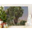 Minnich Wrapped Canvas Print Set-815318601