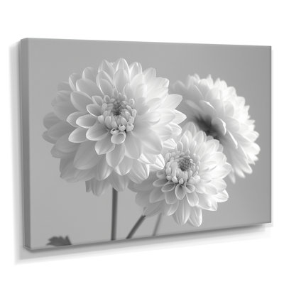 Monochromes blanc noir maman botanique beauté II - décoration murale mamans