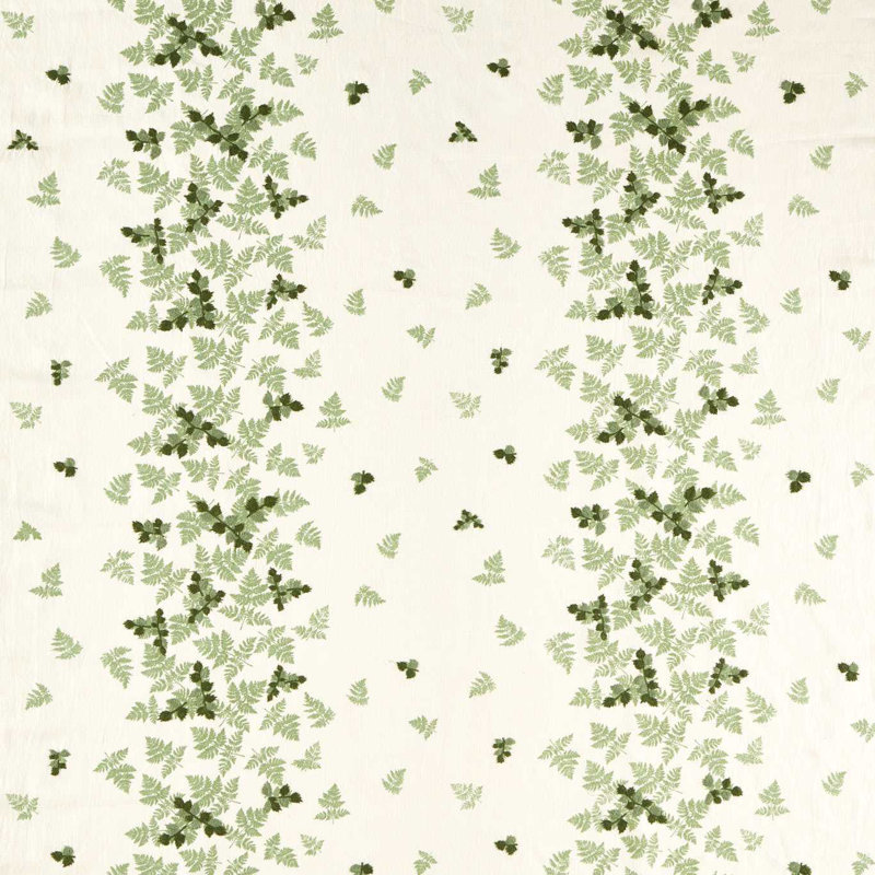 Highgrove Alice`s Fern