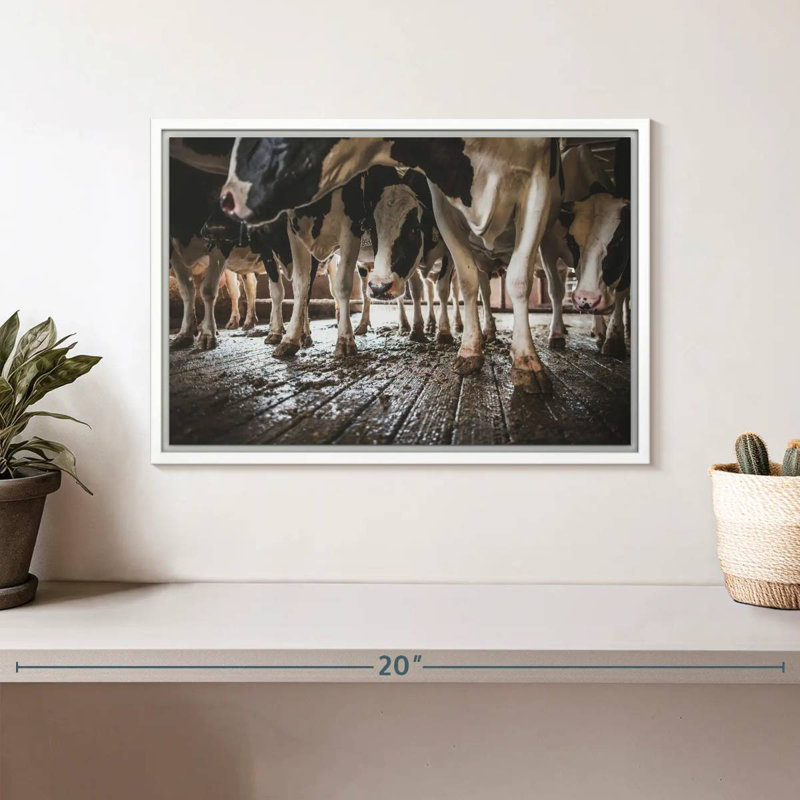 Sabots de vache en noir et blanc, Cadre flottant blanc, 13 po x 9 po
