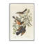 «Classic Audubon Bird Study», art giclée par one1000paintings-107872992-111767506