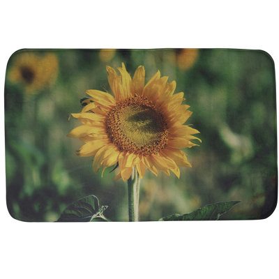 Jost Memory Foam Non-Slip Bath Rug